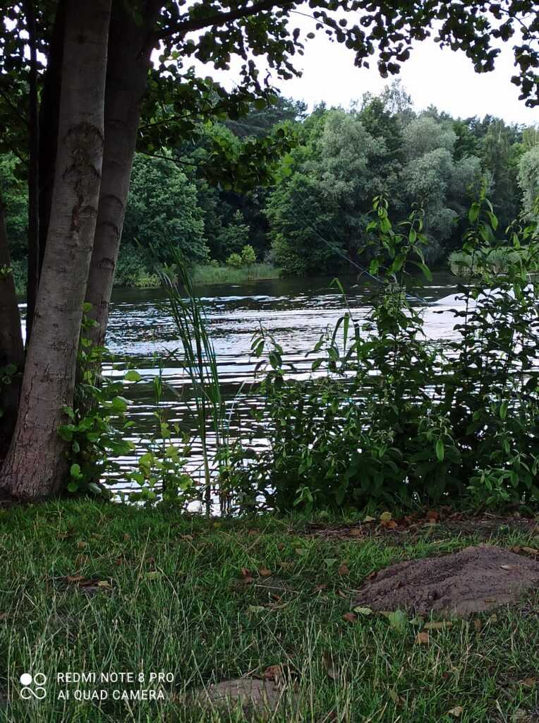 rowerowy spacer nad jezioro